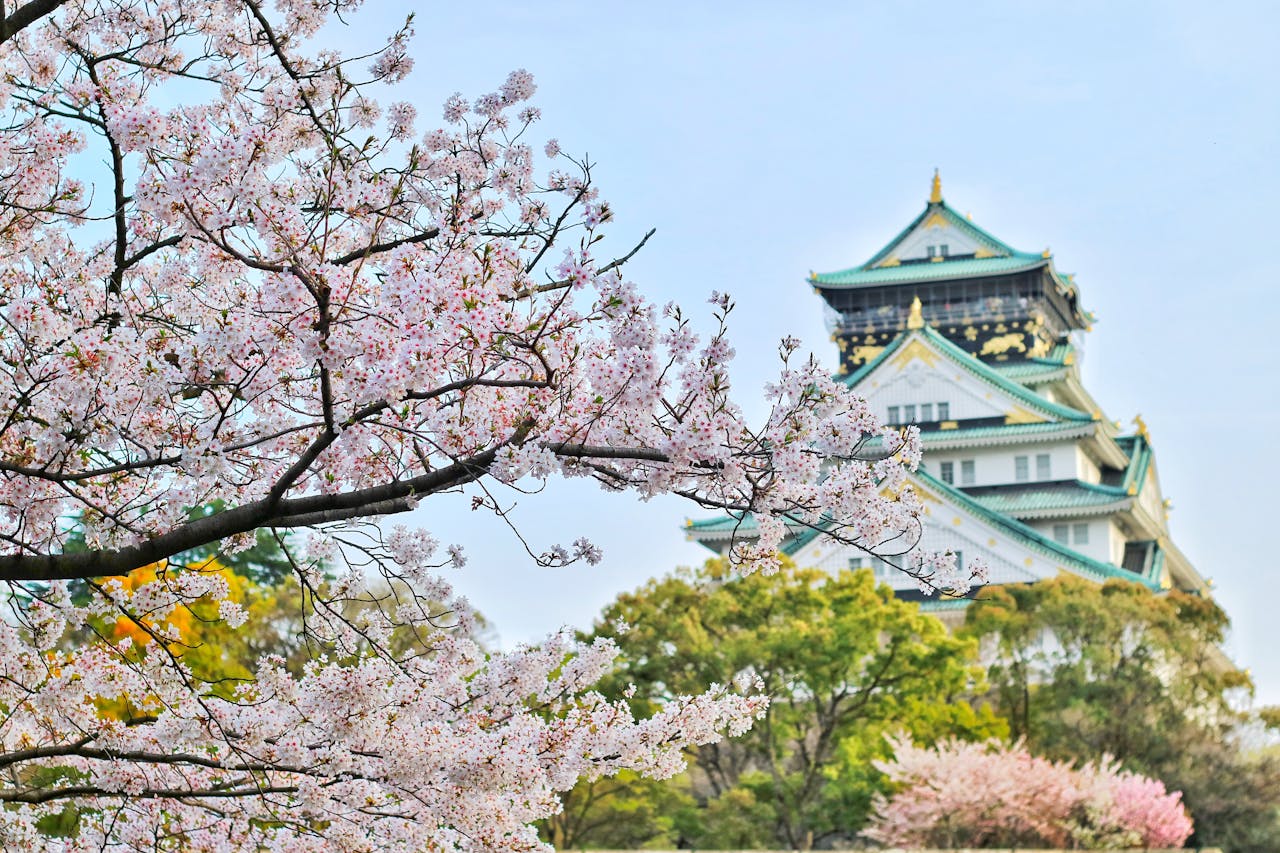 a faire au Japon